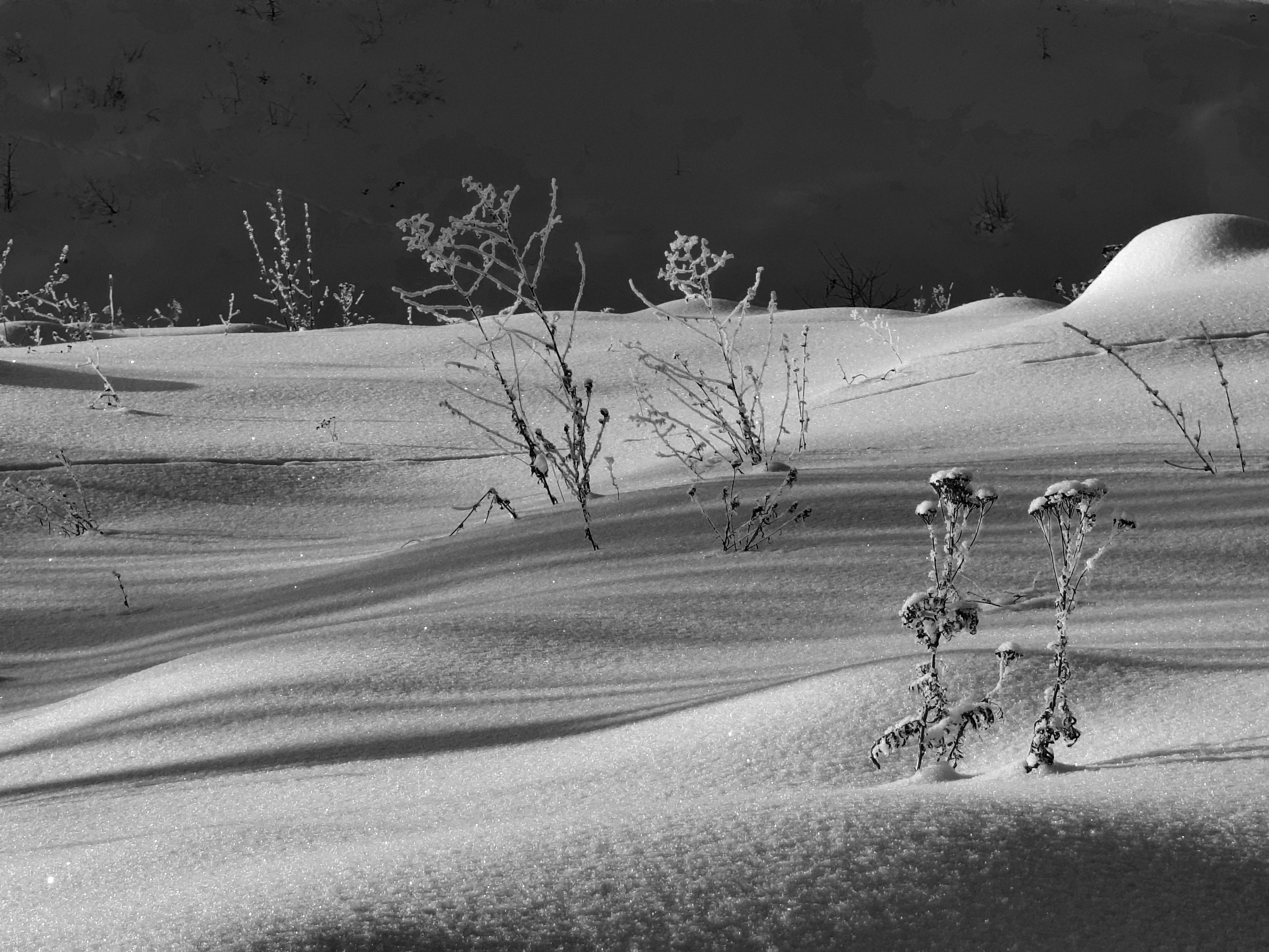 Photo 2971747