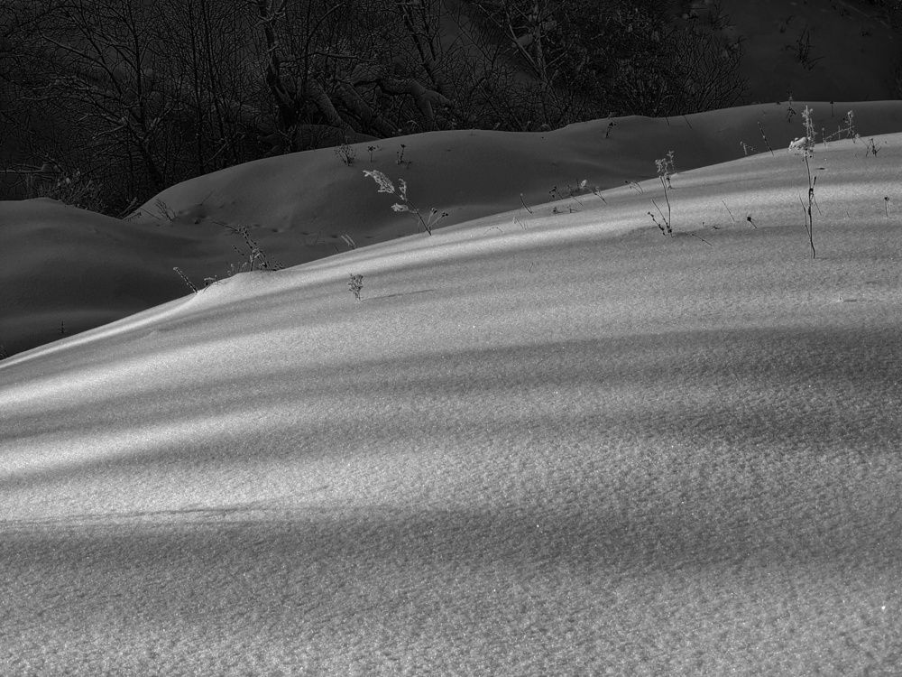 Photo 2971749