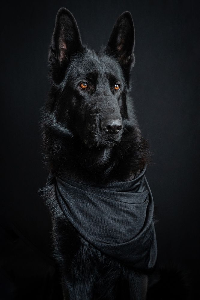 Хантер