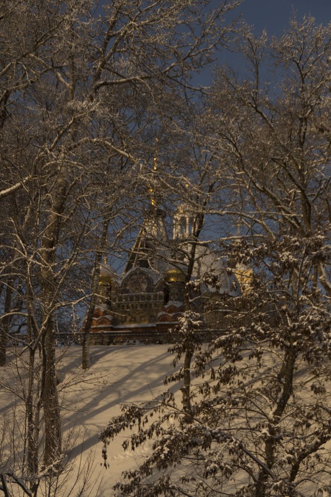 январское утро