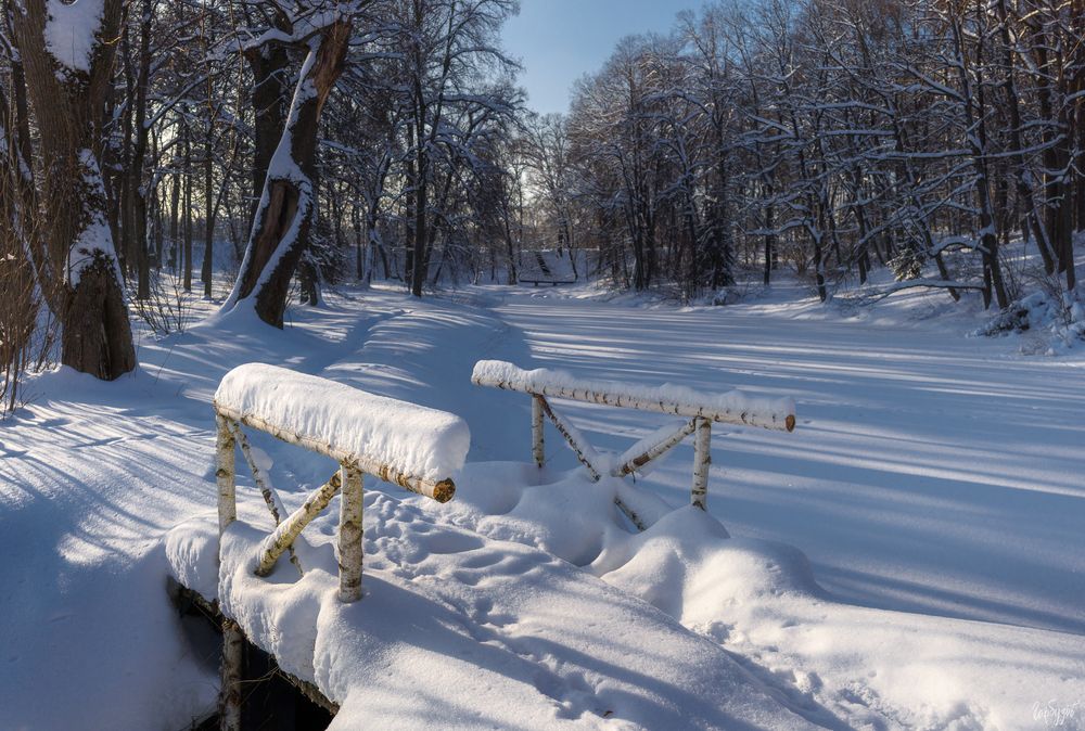 Ясная Поляна зимой