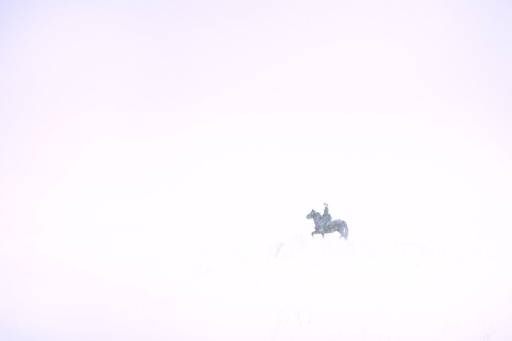 Photo 2972767
