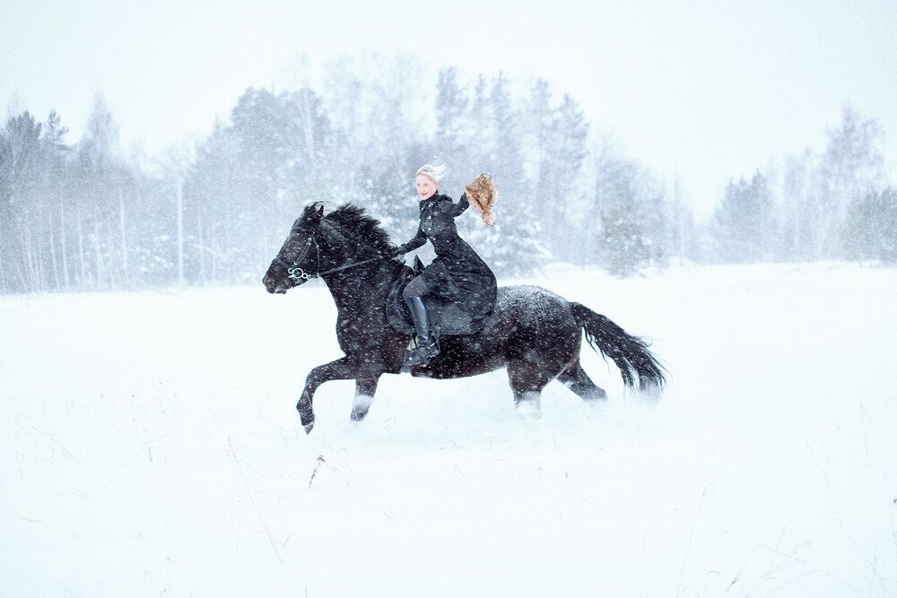 Photo 2972770