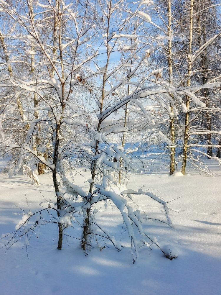Photo 2973378