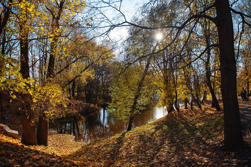 Большое Болдино (часть 5)