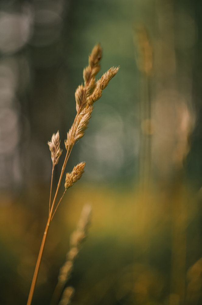 Photo 2973541
