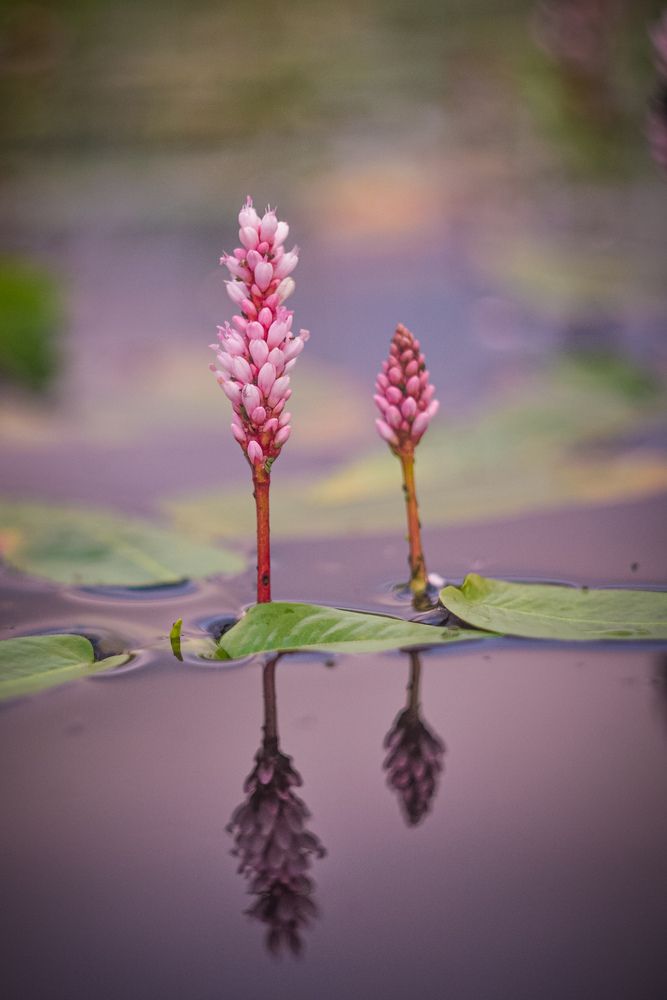 Photo 2973543