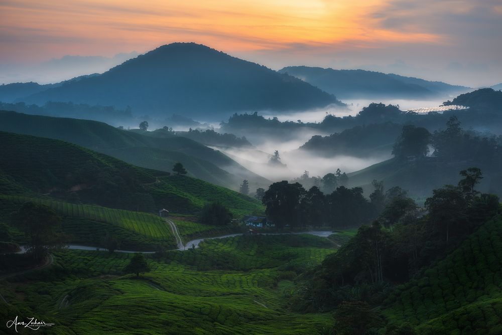 Cameron Highlands
