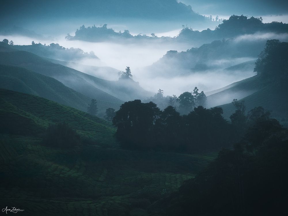 Cameron Highlands