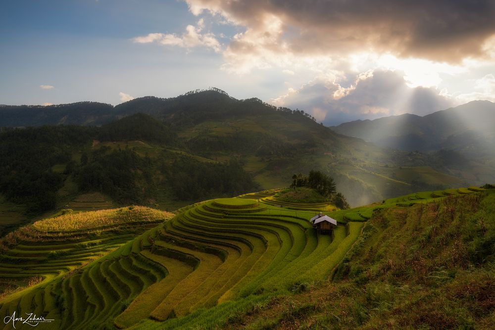 Mu Cang Chai