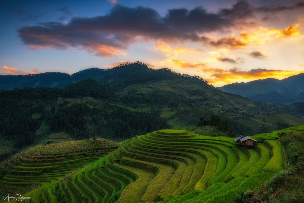 Mu Cang Chai