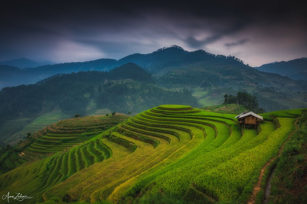 Mu Cang Chai