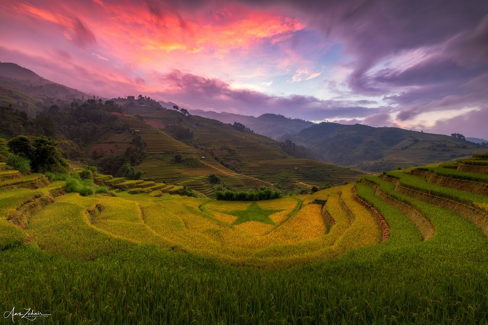 Mu Cang Chai
