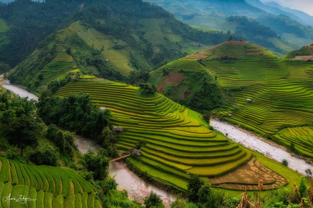 Mu Cang Chai