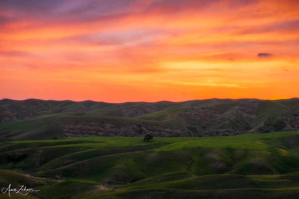 The Green Layers