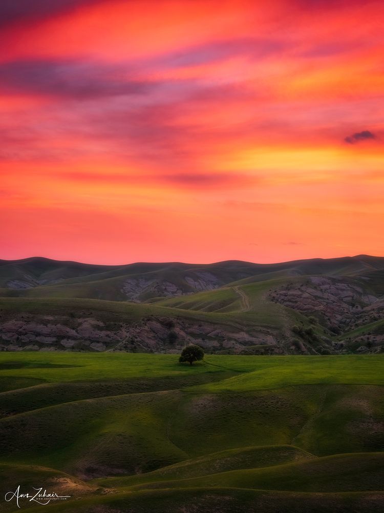 The Green Layers