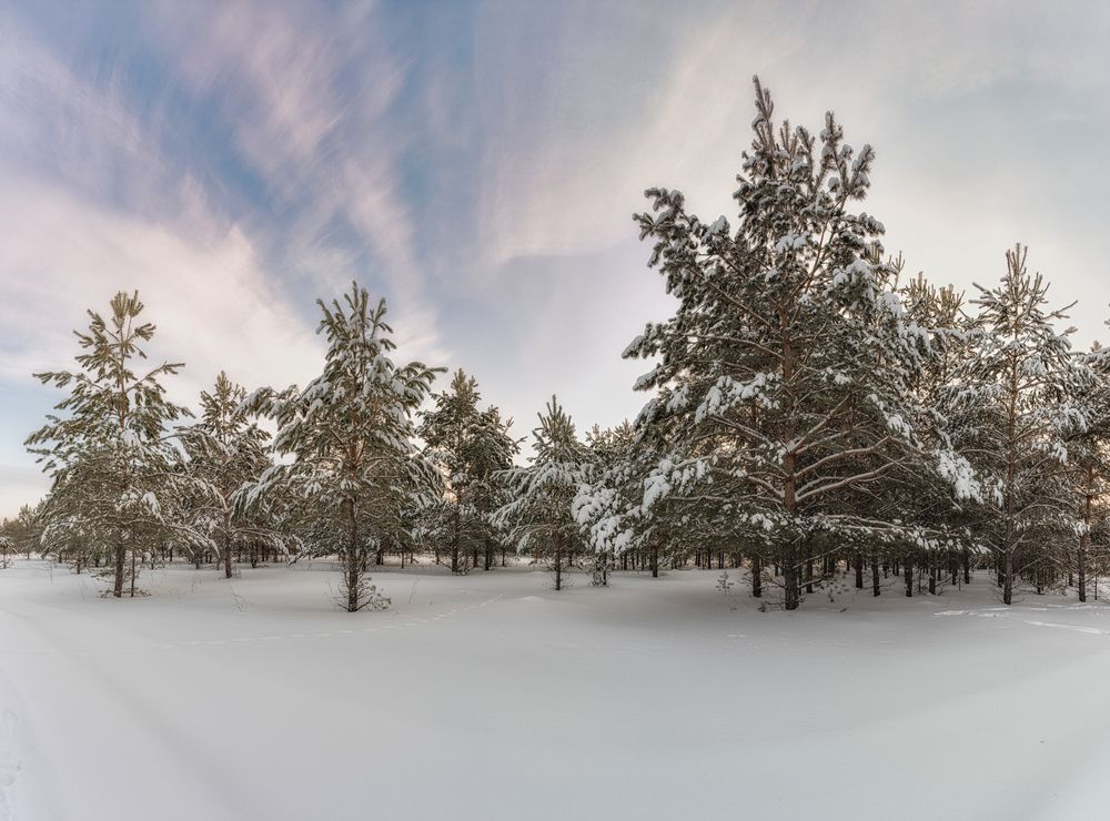 Photo 2975853
