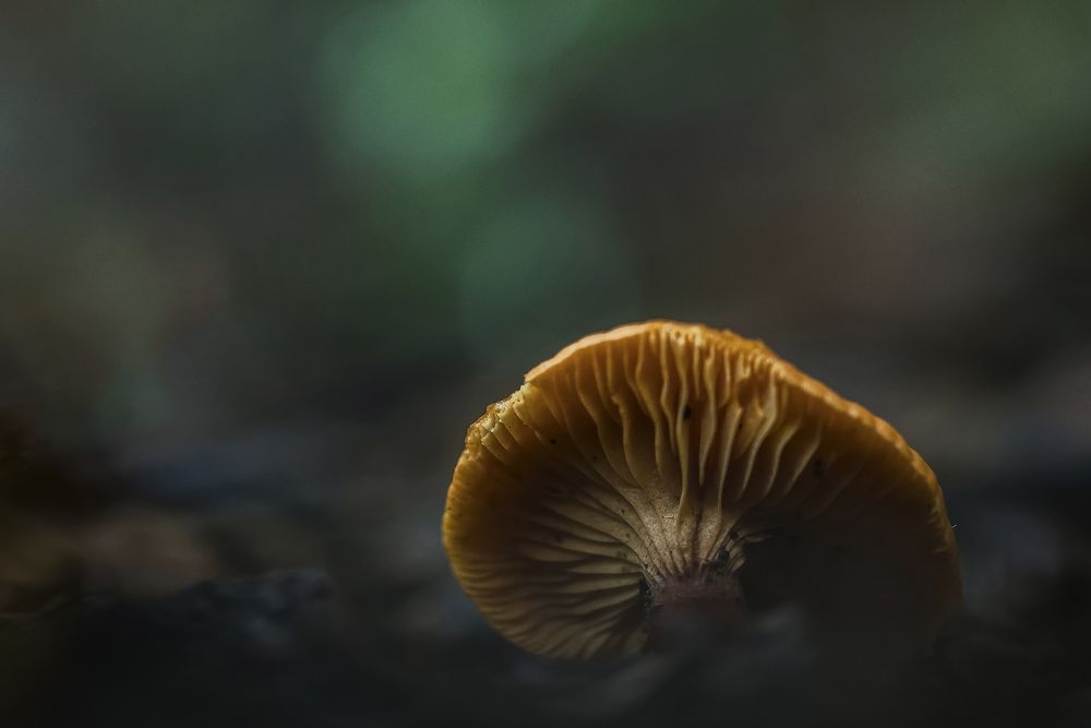 From below