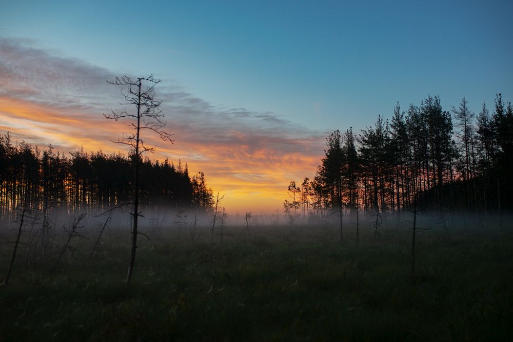 Волшебное утро