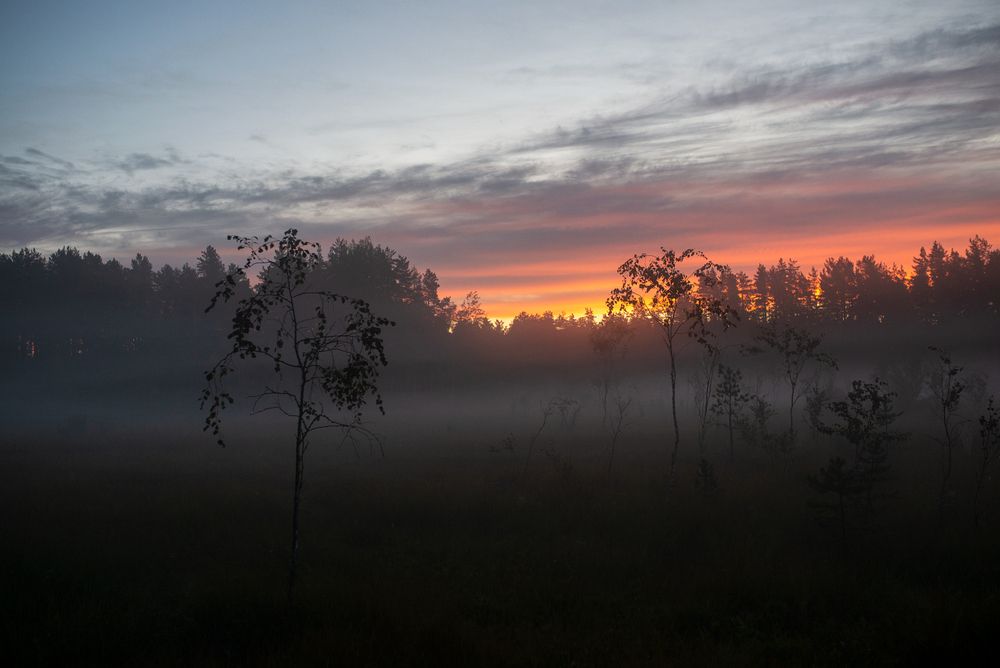 Волшебное утро