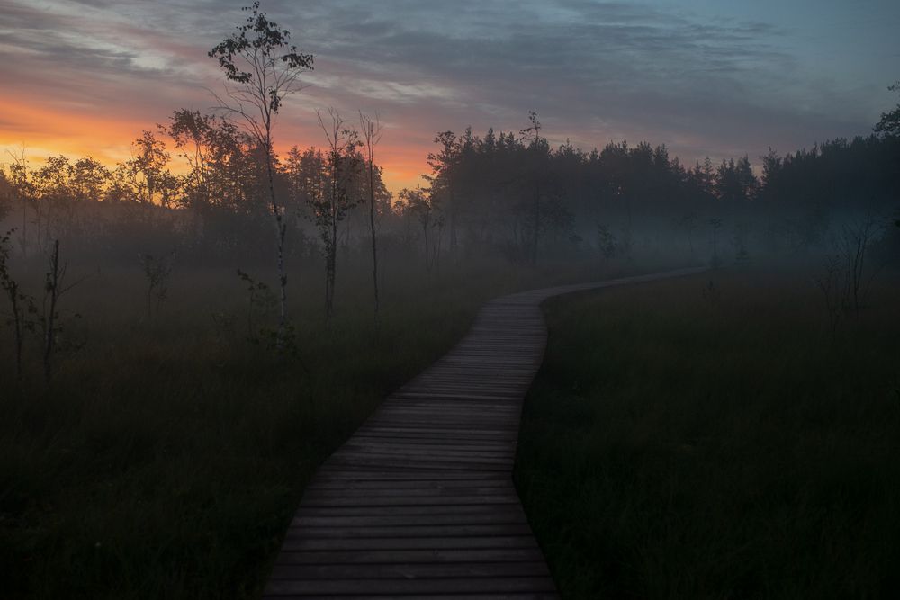 Волшебное утро