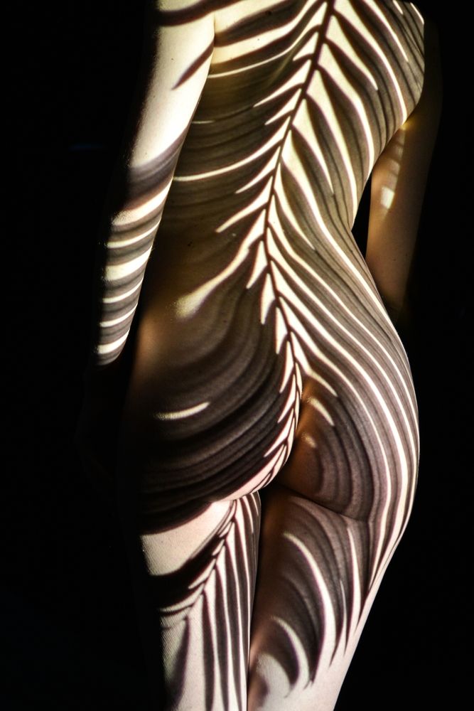 Photo 2979745
