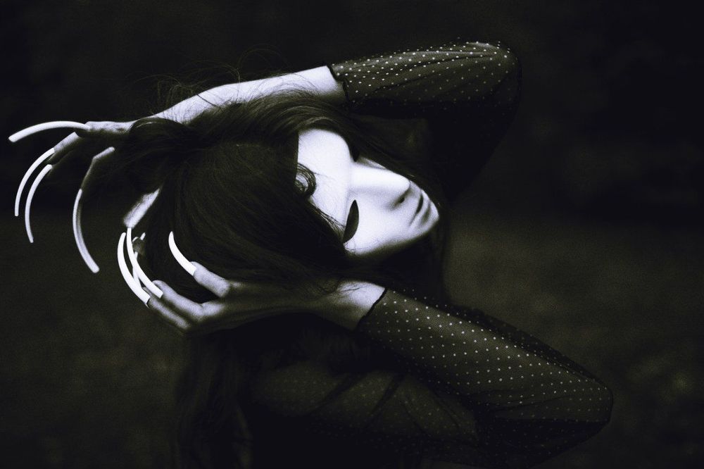 Photo 298280