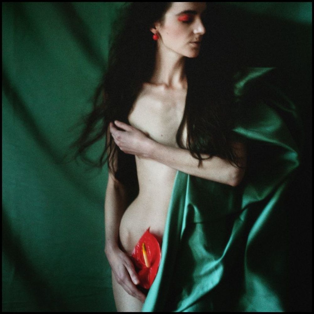 Photo 298398