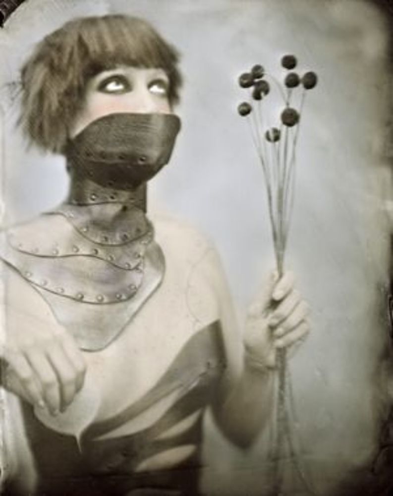 Аллан Бaрнec Wet Plate Work 2010-12