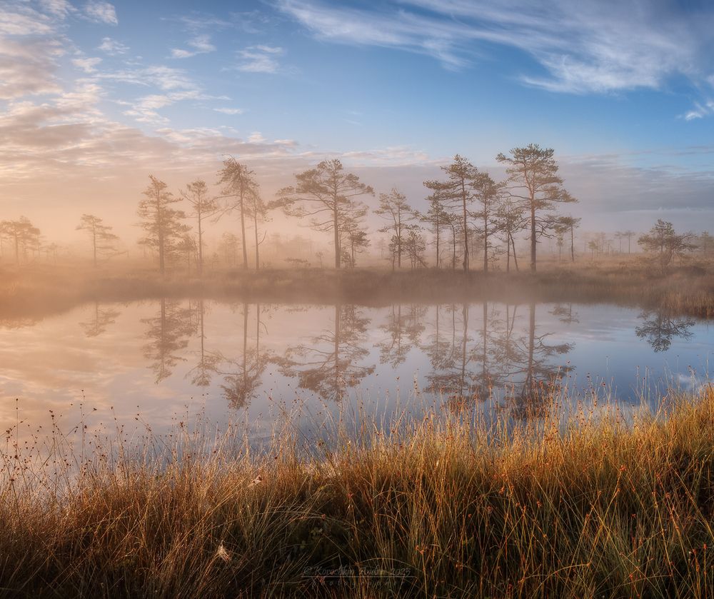 ... болотные истории ...