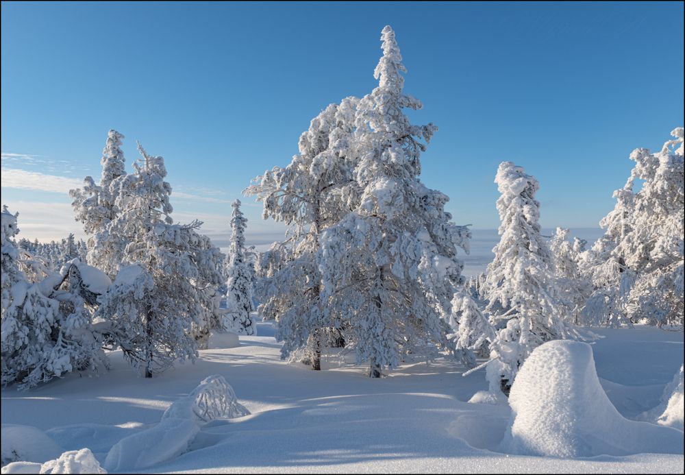 День разгулялся