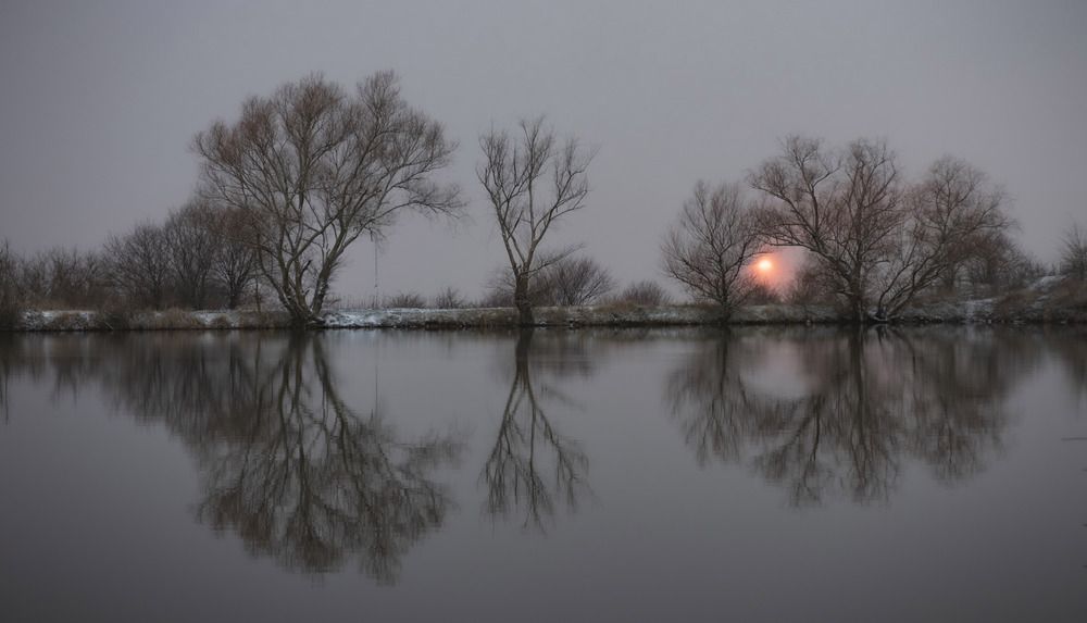 Photo 2984075