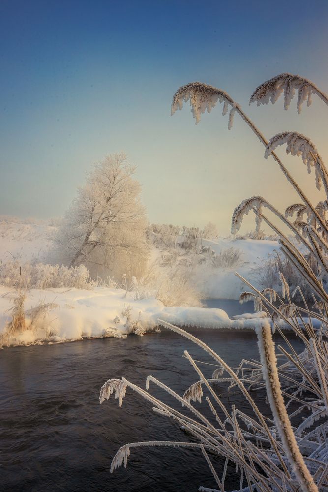 Морозное утро в деревне Малая Кожуховка. Река Деготня, Тульская область, Шекинский район