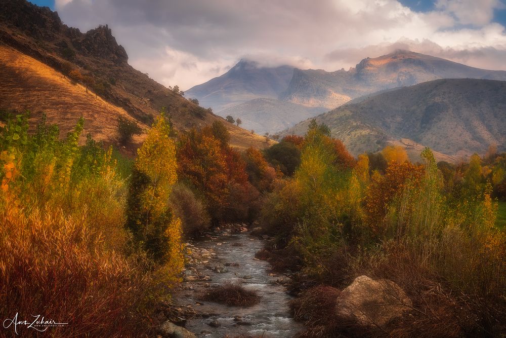 Autumn Vibe