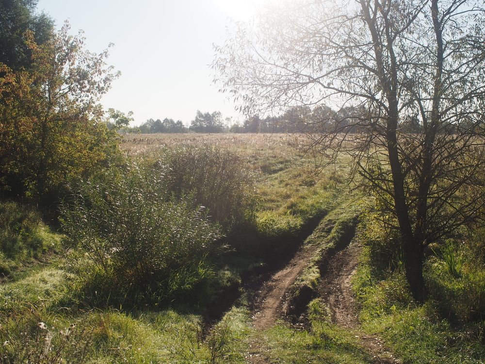 08