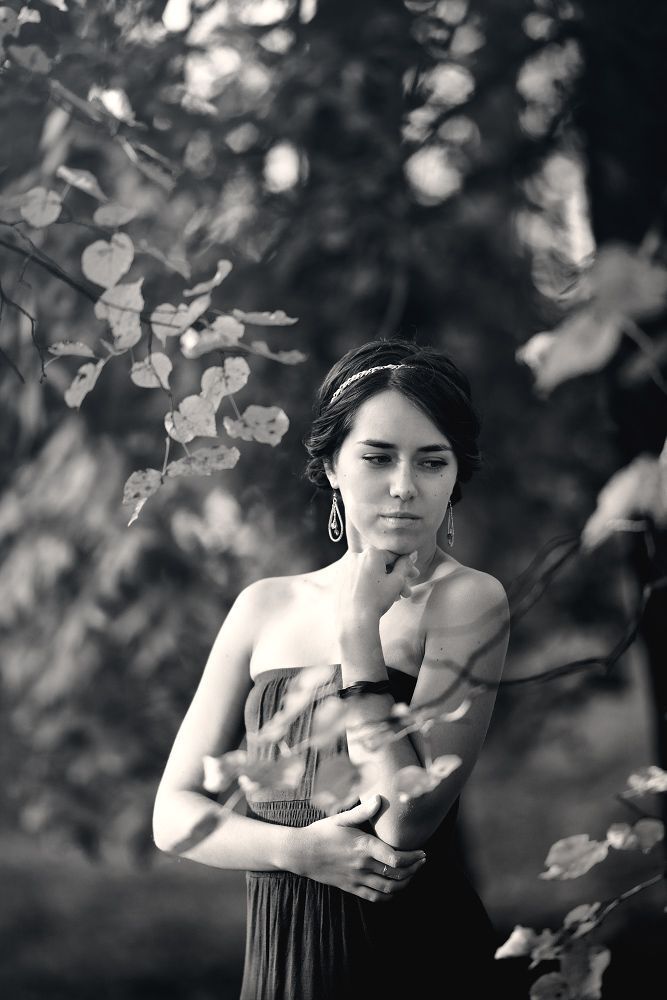 Photo 299779