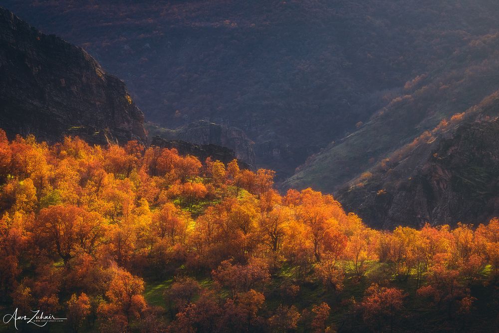Halgurd Sakran National Park