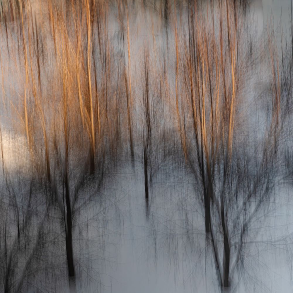Photo 2992097