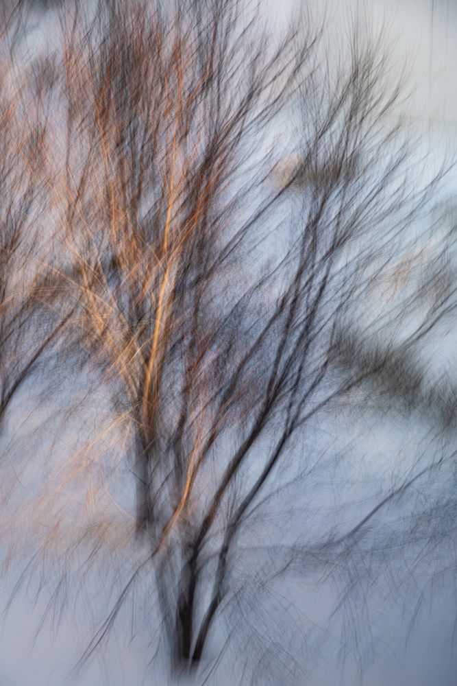 Photo 2992098