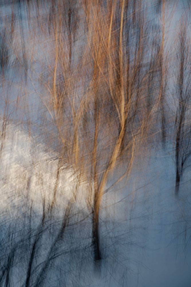 Photo 2992099