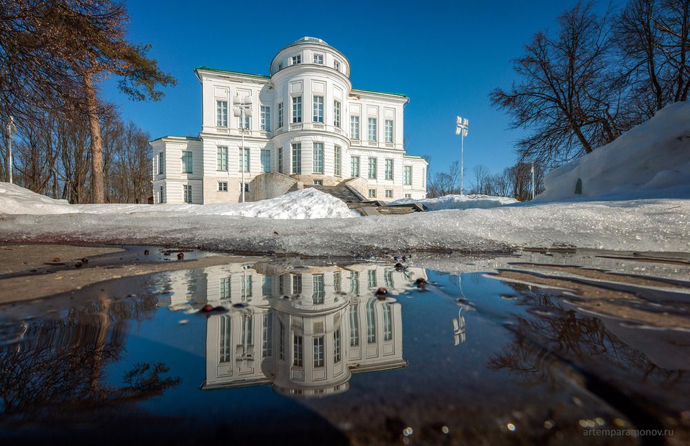 Мартовские котики в г. Богородицке