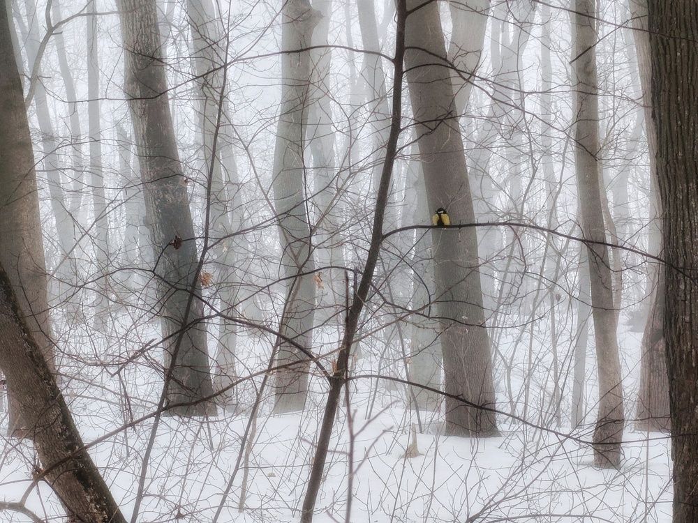 Photo 29929231