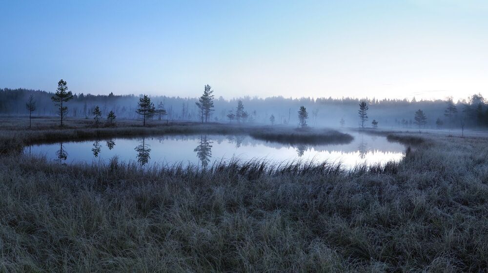 Photo 29929275