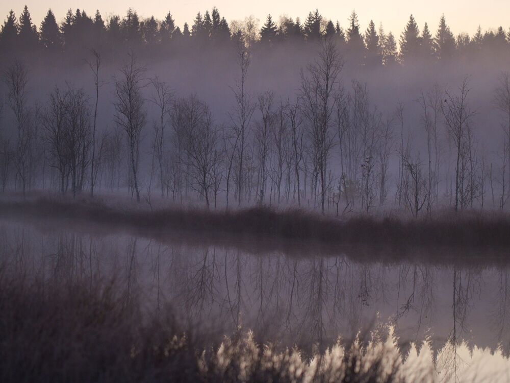 Photo 29929276