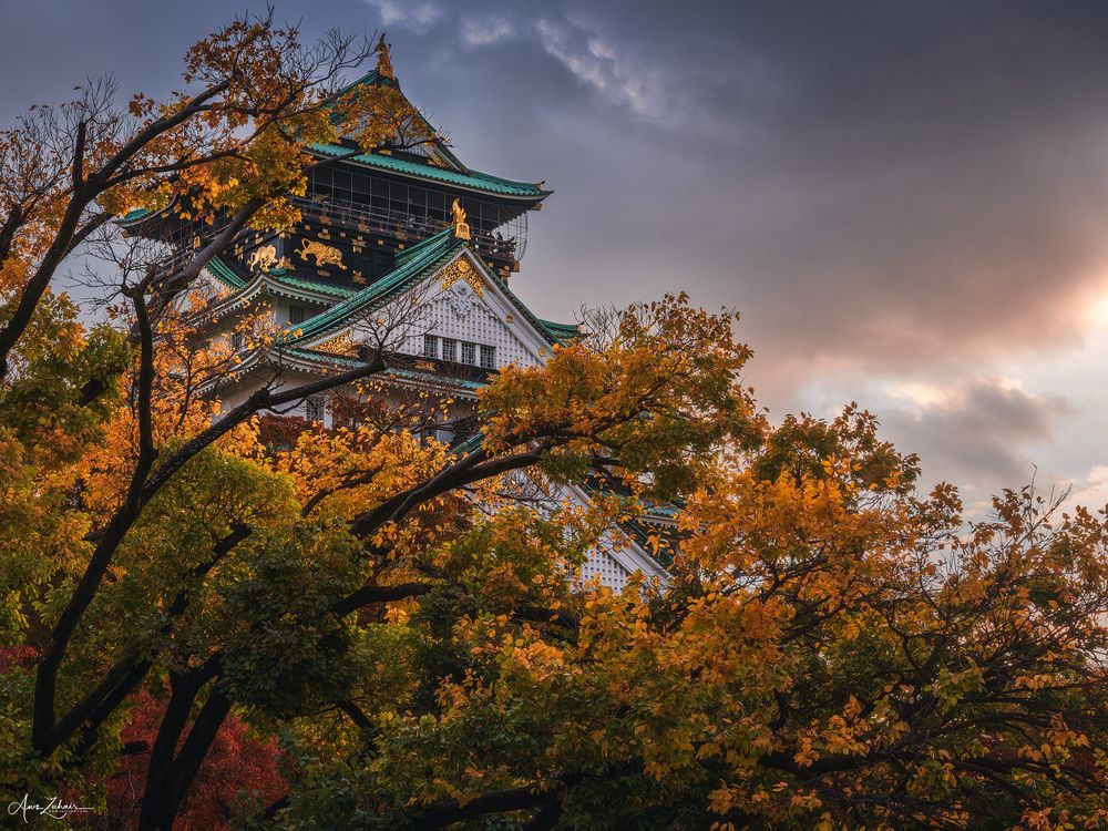 Osaka Castle
