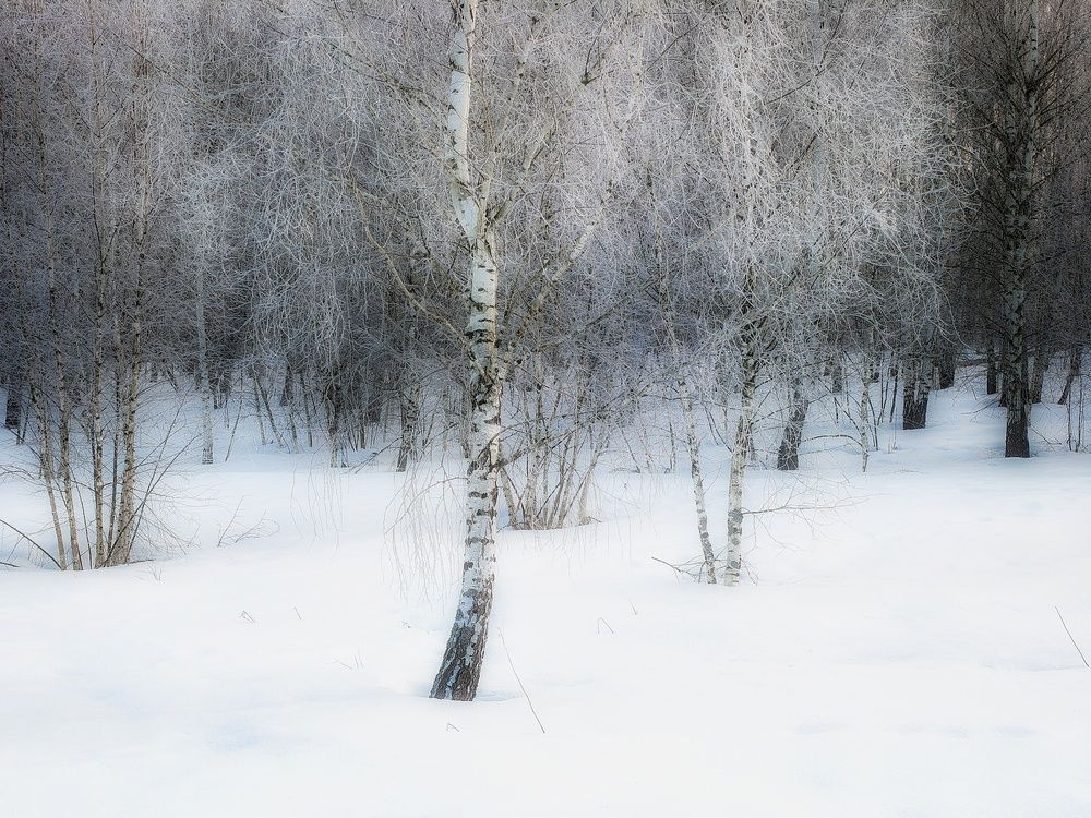 Photo 29929980