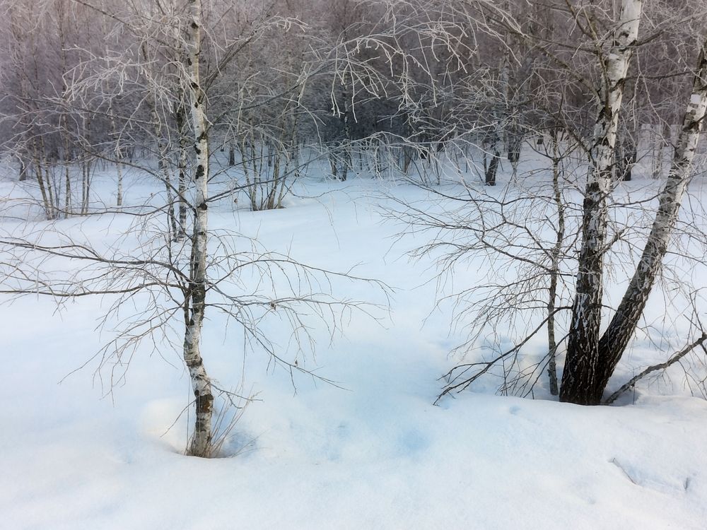 Photo 29929983