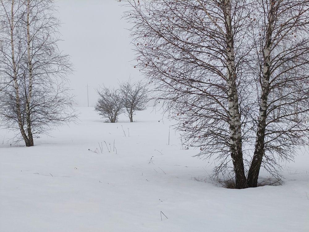 Photo 29929996