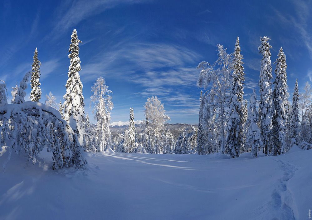 Лужба