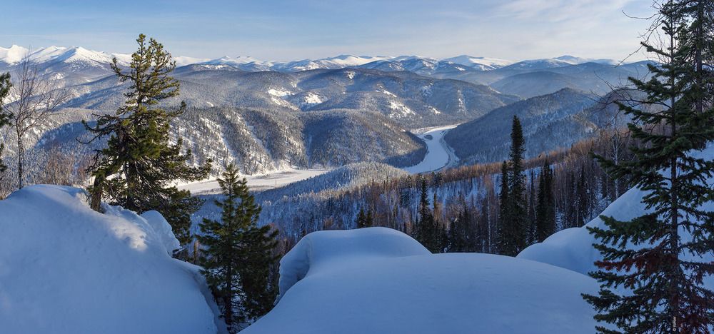Лужба